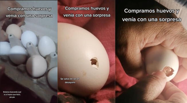 Familia compra huevos y se lleva una sopresa.