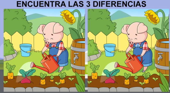 Encuentra las 3 diferencias en este complicado reto visual