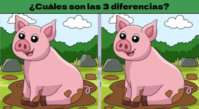 Solo los que tienes un mente BRILLANTE podrán encontrar las 3 diferencias