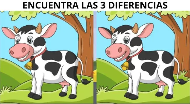 Pon a prueba tu agilidad visual intentando superar este reto.