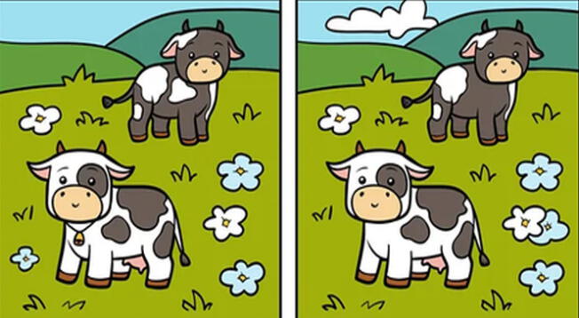 Tienes solo una oportunidad para desarrollar el reto visual de la semana. Tienes solo una oportunidad para desarrollar el reto visual de la semana.