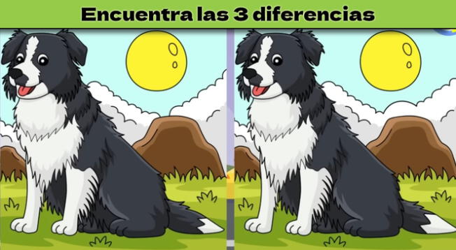 Reto visual solo para mentes supremas: ubica las 3 diferencias