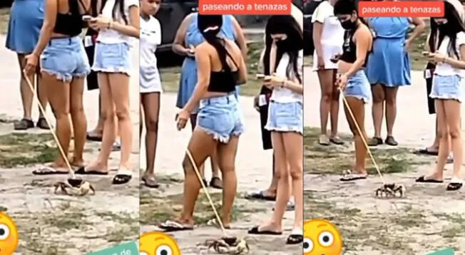 Joven saca a pasear a su cangrejo y es la sensación en la playa