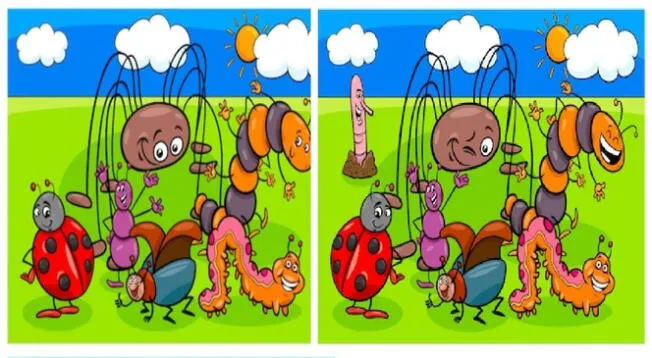 Encuentra las 6 diferencias del reto visual en tiempo récord