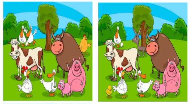 Pon a prueba tus habilidades con este divertido reto visual
