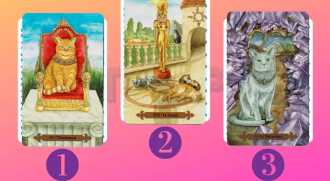 Elige una de estas cartas y descubre tu personalidad en simples pasos Elige una de estas cartas y descubre tu personalidad en simples pasos