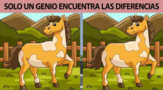 Si cuentas con una excelente memoria podrás resolver este reto visual.