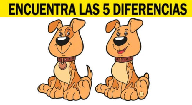 Cuentas con 6 segundos para encontrar las 5 diferencias ahora Cuentas con 6 segundos para encontrar las 5 diferencias ahora