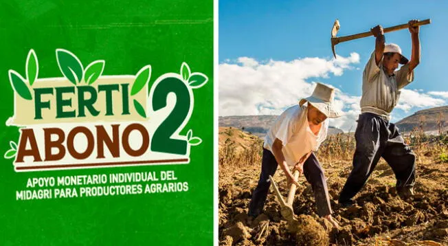 La cantidad que recibirá cada beneficiario no será igual, ya que dependerá del área cultivada.