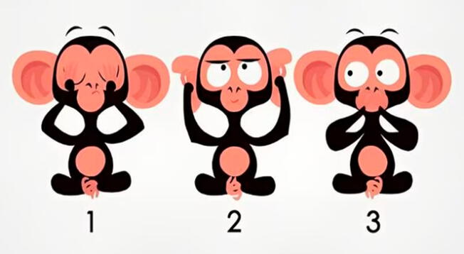 Analiza el test visual y cuéntanos cuál de los monos te gustó más para darte una sorprendente respuesta.