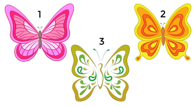 La mariposa que elijas del test de personalidad, revelará más detalles de tu forma de ser. La mariposa que elijas del test de personalidad, revelará más detalles de tu forma de ser.