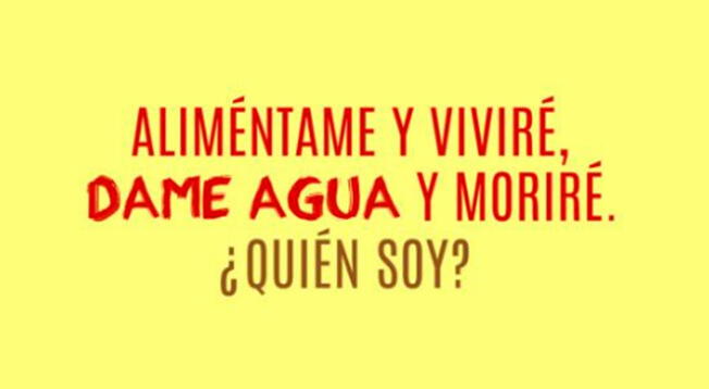 Solo los más inteligentes encontrarán la respuesta del acertijo mental. Solo los más inteligentes encontrarán la respuesta del acertijo mental.