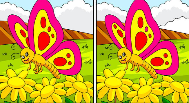 Ubica las 8 diferencias entre las mariposas en tiempo récord.