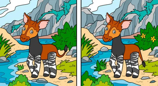 ¿Crees que logres vencer este reto visual que solo un verdadero genio puede superar?