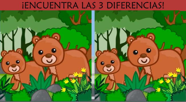 Solo las personas con una vista privilegiada resolvieron este reto. Solo las personas con una vista privilegiada resolvieron este reto.