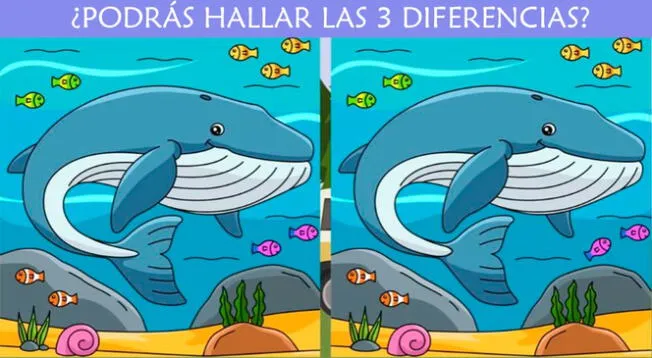 Intenta superar este nuevo reto visual en un tiempo límite de 7 segundos. Intenta superar este nuevo reto visual en un tiempo límite de 7 segundos.