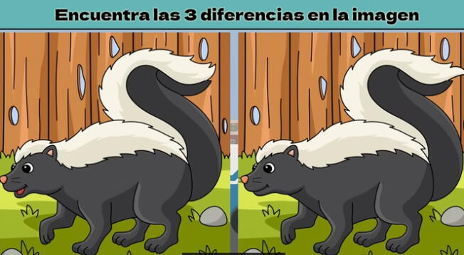 Reto visual para genios: encuentra los 3 detalles diferentes en segundos