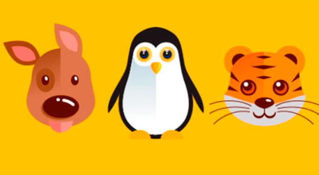 Escoge un animal para conocer más sobre tu test de personalidad. Escoge un animal para conocer más sobre tu test de personalidad.