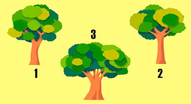 Elige el árbol que más te guste y descubre más detalles de tu personalidad. |Composición: Líbero/ Pinterest