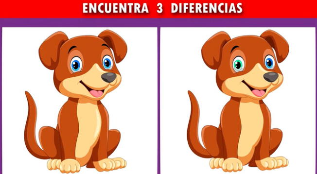 Encuentras las 3 diferencias en el menor tiempo posible.