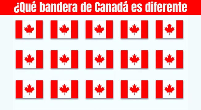 Identifica cuál es la bandera canadiense que no concuerda con las demás.