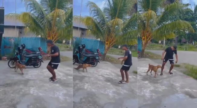 El perrito mostró sus dotes artísticos para bailar una cumbia.