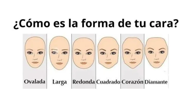 Concéntrate al 100 % en la imagen y opta por la alternativa que describe tu rostro.