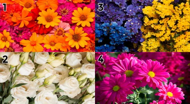 Las flores que más te gusten de este test visual revelará un gran mensaje para ti.