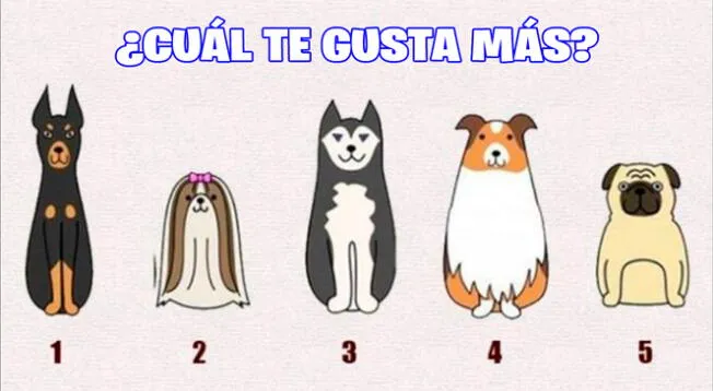 ¿Cuál te gusta más? Tu elección revelará el tipo de personalidad que tienes.