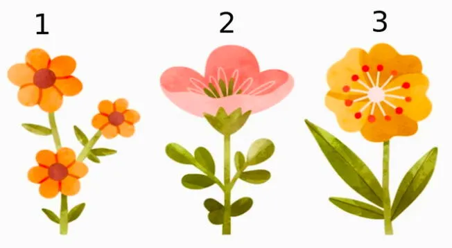 Escoge una flor y conoce rasgos importantes de tu personalidad en poco tiempo. Escoge una flor y conoce rasgos importantes de tu personalidad en poco tiempo.