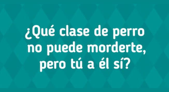 De descubrirlo, serás parte del pequeño porcentaje de victoriosos.