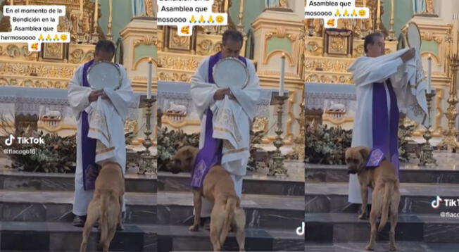 Perrito se mete debajo de túnica de un sacerdote.