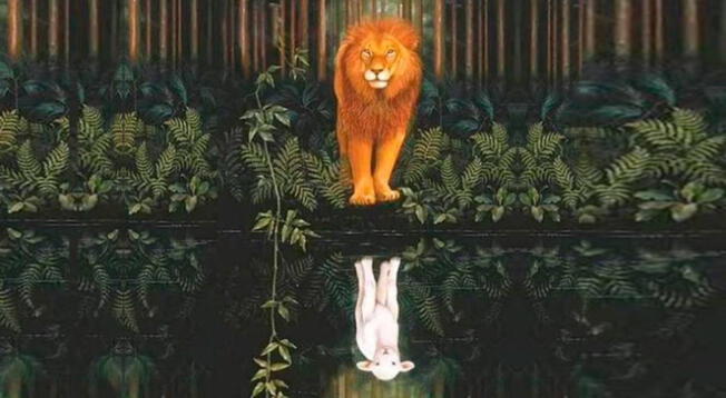 ¿Un león o un cordero? De acuerdo a tu elección, podrás enterarte de cómo eres en realidad. ¿Un león o un cordero? De acuerdo a tu elección, podrás enterarte de cómo eres en realidad.