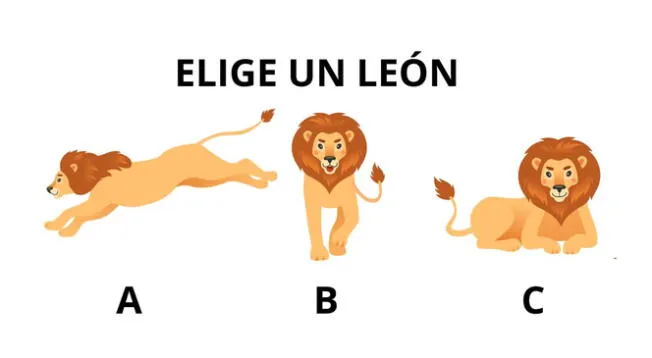 Mira con atención la ilustración y elige la posición del león que más llame tu atención.