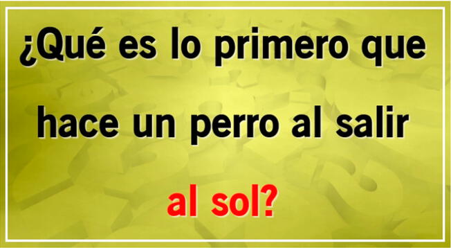 Solo una persona inteligente podrá hacer frente a este acertijo extremo.