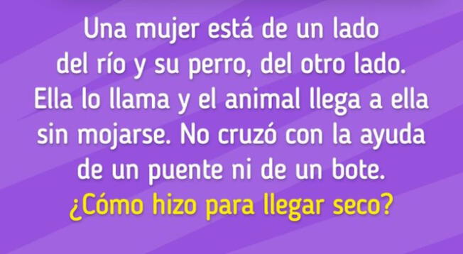 Contadas fueron las personas que resolvieron correctamente este acertijo visual.