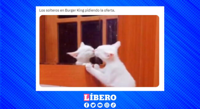 Dos gatos besándose, la representación perfecta para la promoción de Burger King.