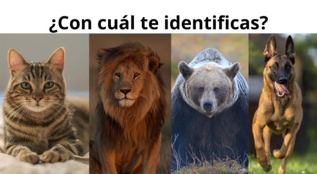 Si tuvieras que convertirte en uno, ¿cuál crees que va más con tu personalidad?