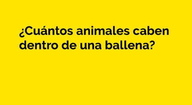 Acertijo: descubre cuál es la respuesta a este ejercicio