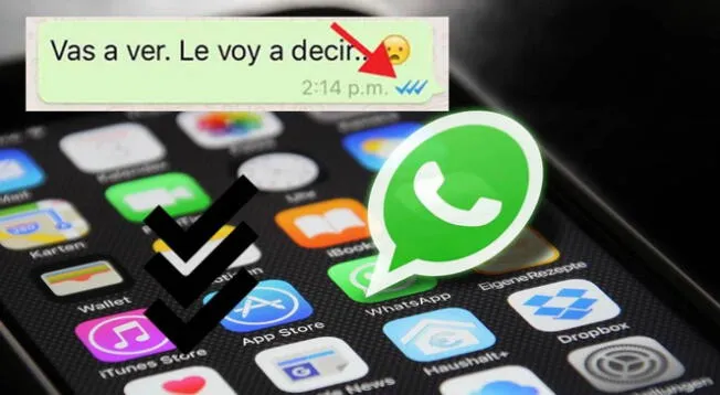 WhatsApp: ¿cómo sería la función del 'tercer check azul'?