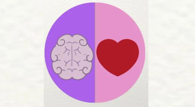 ¿Qué es lo que más rige en ti? Descubrelo en el siguiente test de personalidad ¿Qué es lo que más rige en ti? Descubrelo en el siguiente test de personalidad