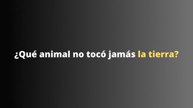 ¿Podrás resolver este dificil acertijo?