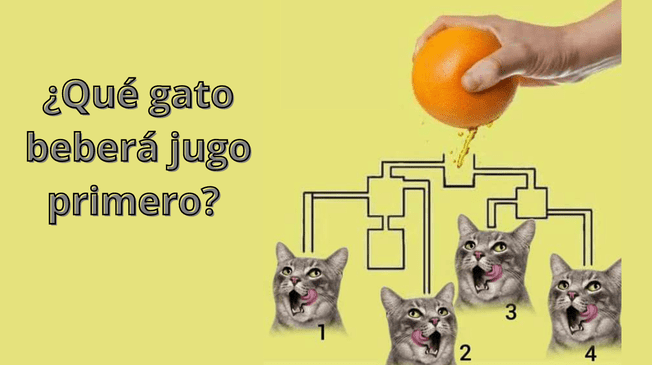 ¿Podrás resolver esta prueba visual en pocos segundos? ¿Podrás resolver esta prueba visual en pocos segundos?