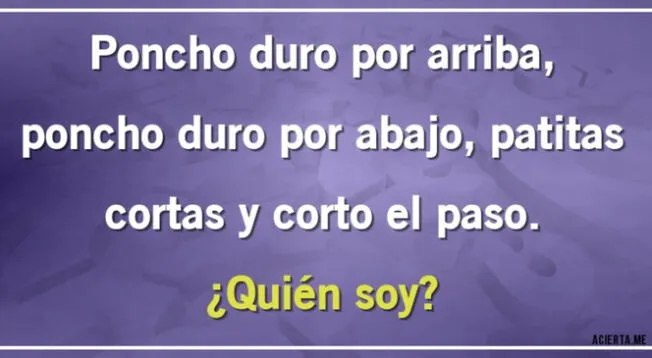 El complejo acertijo visual, viralizado en redes sociales