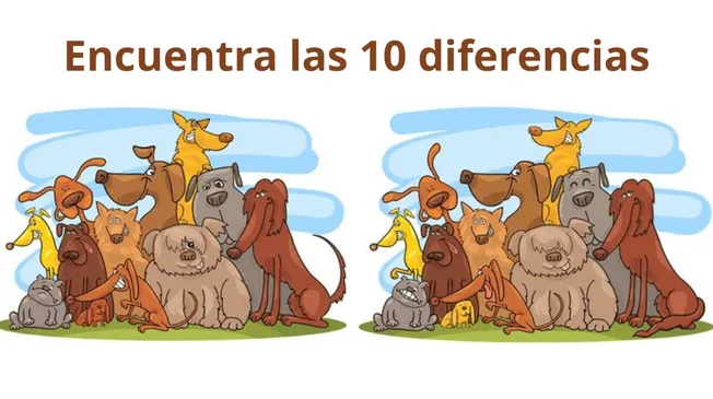 ¿Puedes ver las 10 diferencias en este reto visual extremo?