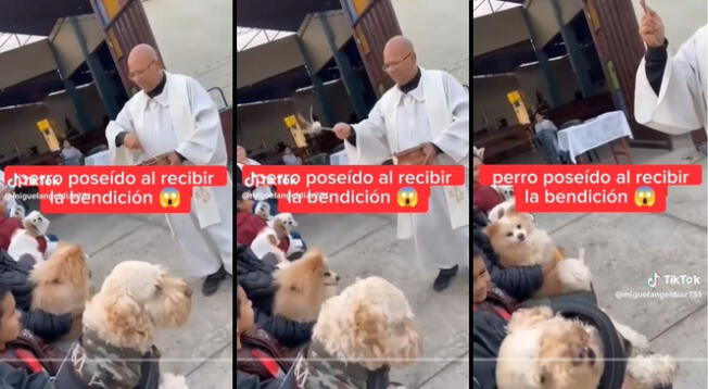 ¡Atrás satanás! Mascota no soportó que le tiraran agua bendita.