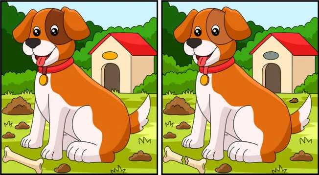 ¿Lograrás encontrar las 8 diferencias del reto visual en solo 10 segundos? ¿Lograrás encontrar las 8 diferencias del reto visual en solo 10 segundos?