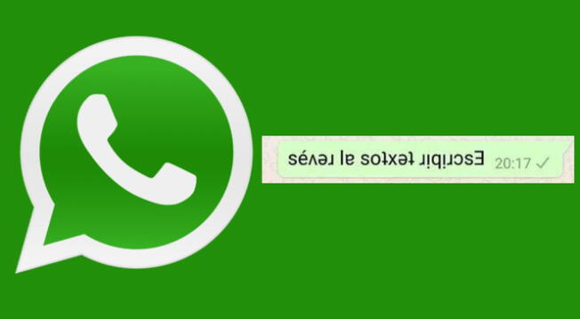 Aquí te enseñaremos cómo escribir textos en WhatsApp con mensajes al revés.