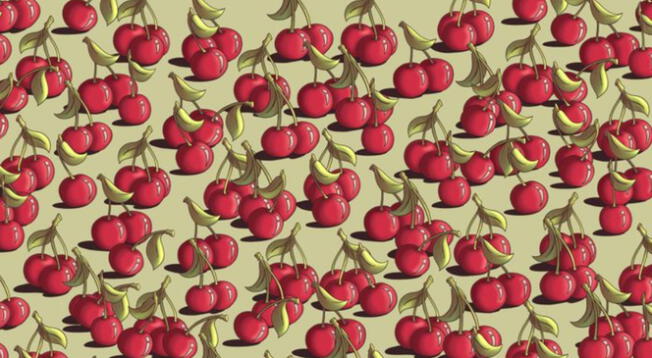 ¿Puedes hallar el tomate? ¿Puedes hallar el tomate?