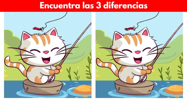 El complejo reto visual del tierno gatito